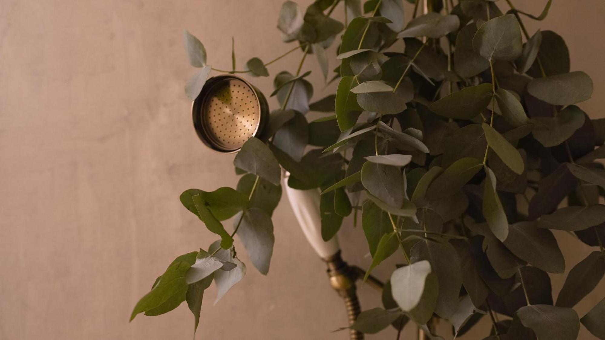 Apartment Elegance And Parisian Charm Tuileries *